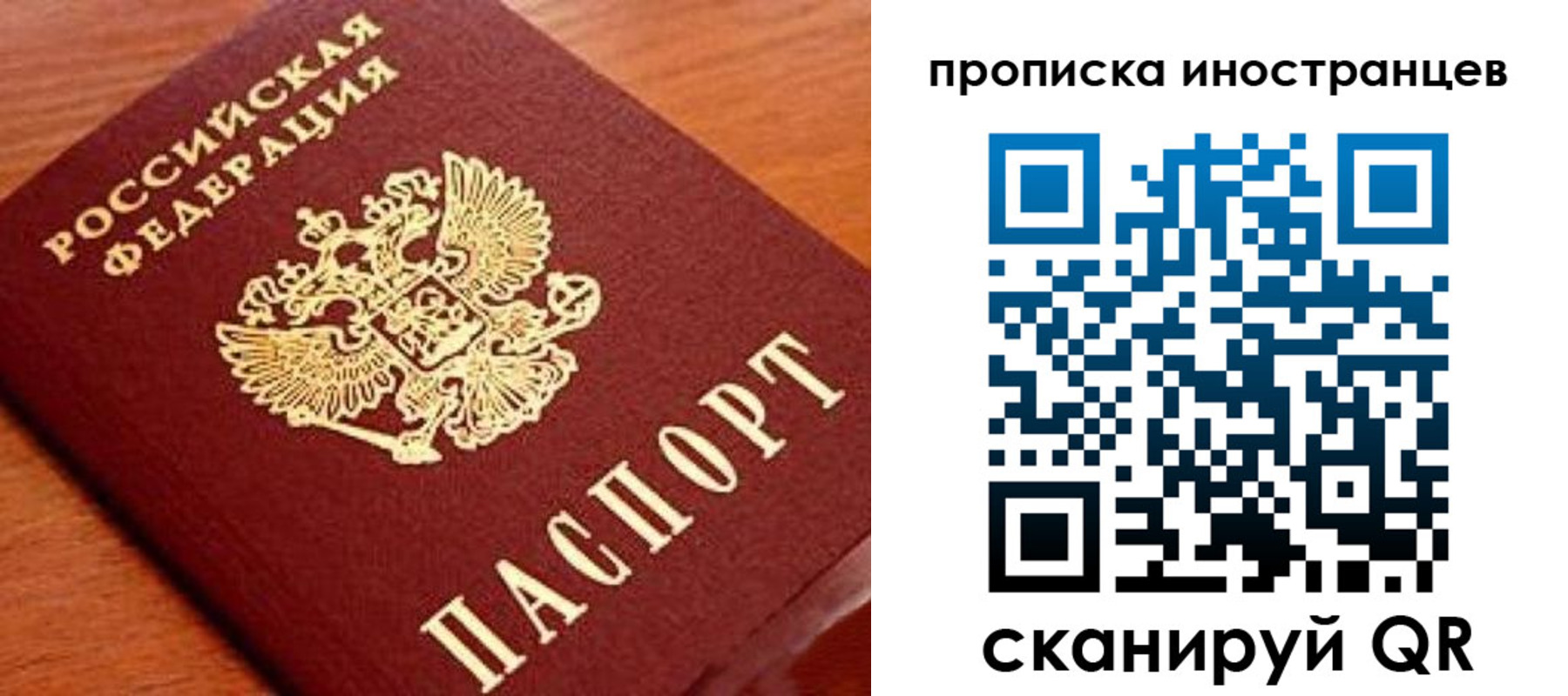 прописка законно в Жердевке